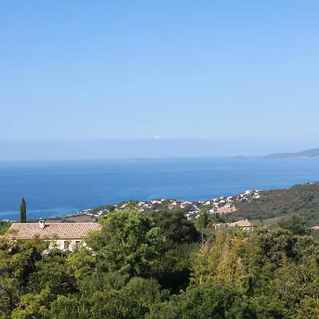Piscine 10 Personnes Porticcio Villa